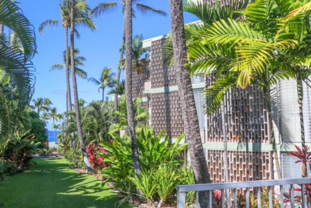 A hotel with a tropical garden, tall palm trees, and a modern building facade.