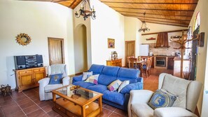 Télévision, cheminée, chaîne hi-fi