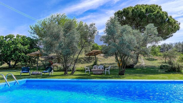 A swimming pool with lounge chairs and umbrellas, surrounded by trees and a grassy area. - La Monja Antequera - La Higuera by Ruralidays (Málaga)
