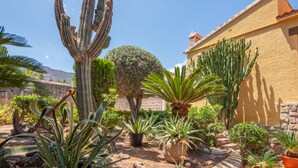 Een tuin met diverse cactussen en planten, een gebouw met pannendak en een helderblauwe lucht.