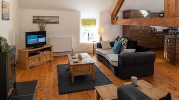 Flat-screen TV, fireplace, DVD player