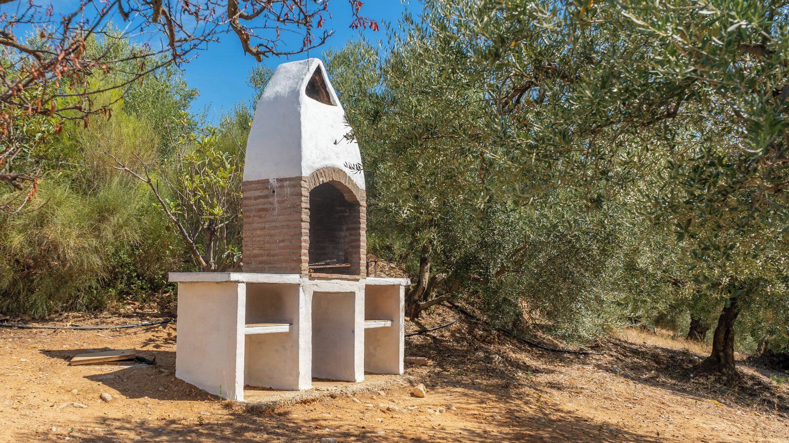 A brick oven structure with a chimney, surrounded by olive trees.