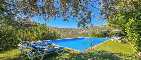 A swimming pool with lounge chairs and umbrellas, surrounded by greenery and hills in the background.