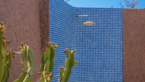 A cactus plant in front of a blue tiled wall with a showerhead. - Villa Mi Paraíso Torrox by Ruralidays (Málaga)