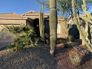 Exterior detail - Poolside Paradise Awaits! (San Tan Valley)
