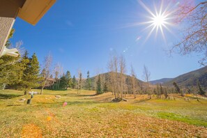 A clear sky with a bright sun, a grassy field with scattered trees, and a building with a sloped roof. - Quicksilver 1616 (Keystone)