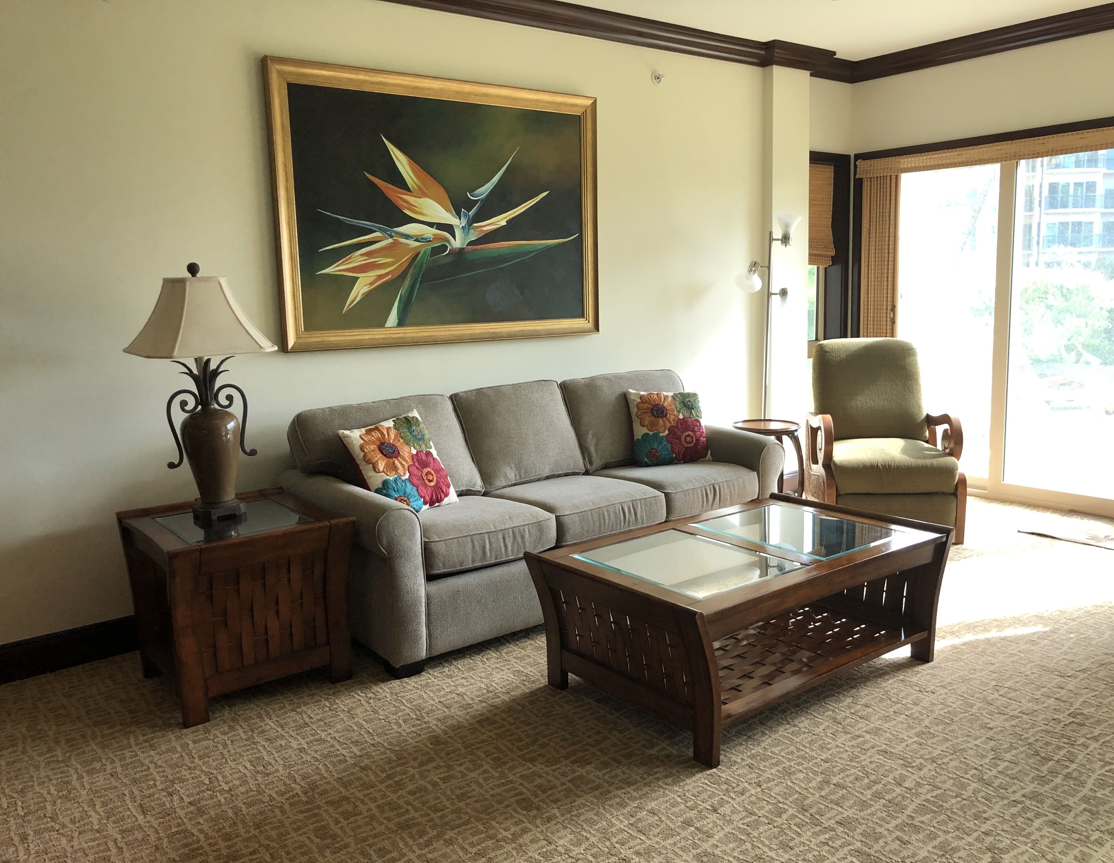 tv, dvd player, books, video library