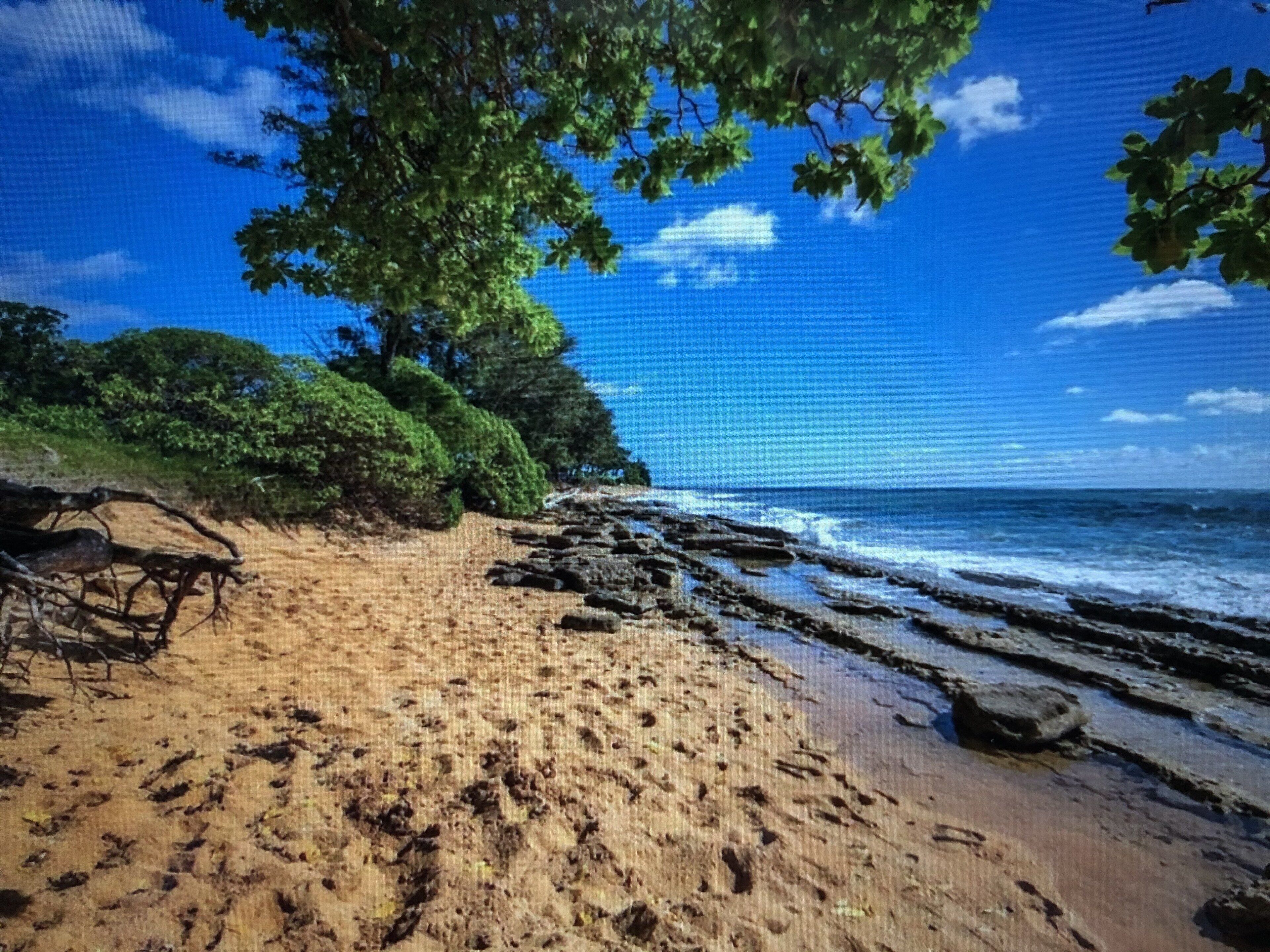 on the beach, sun-loungers, beach towels