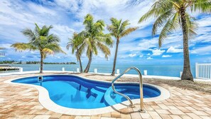 Una piscina con borde curvo, rodeada de palmeras y vista al mar.