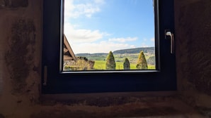 A window with a view of a rural landscape, including fields and trees.