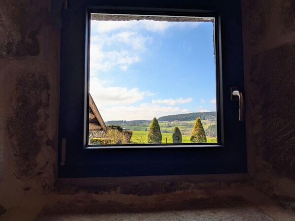 A window with a view of a rural landscape, including fields and trees.