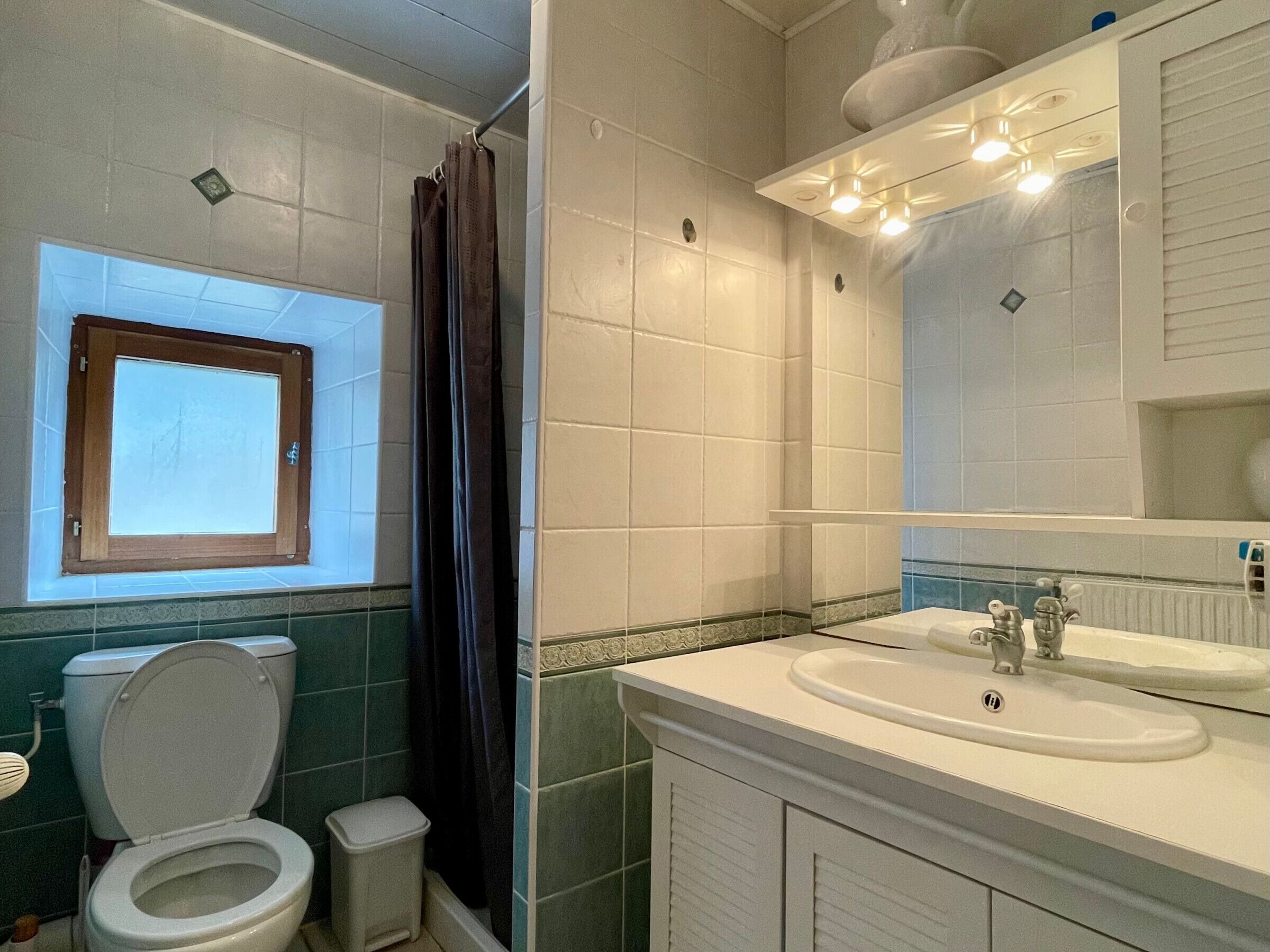 Une salle de bain équipée de toilettes, d’un lavabo, d’un miroir et d’un rideau de douche.