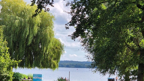 A lakeside park with benches and a view of the water.