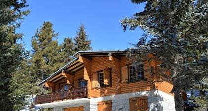 Charming Chalet for 6/7 - Fireplace, Balcony, WiFi, Garage - Bolquère, France