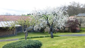 Un jardin bien entretenu, agrémenté de divers arbres, dont un arbre à fleurs particulièrement remarquable et un arbuste aux branches taillées avec soin.