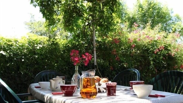 Une table d’extérieur, agrémentée d’une carafe, de tasses et d’une théière, et entourée de verdure.