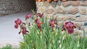 Eine Steinsäule mit einem Ziegeldach, einem Betonboden und violetten Irisblüten im Vordergrund.