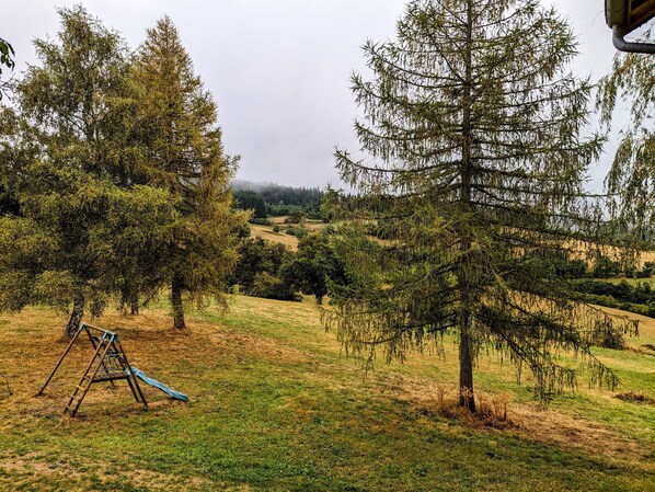 Un campo cubierto de hierba con un columpio y árboles.