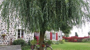 Un edificio de piedra con un árbol en primer plano, un banco y una bicicleta.