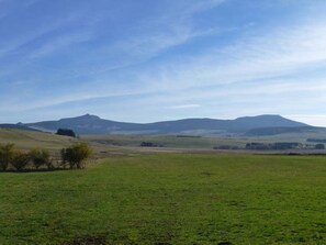 Un vaste champ ouvert, avec de douces collines en arrière-plan et un ciel dégagé.