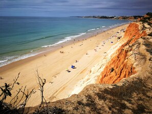A beach with a cliff, sandy shore, and ocean.