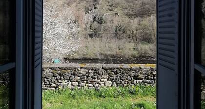 GĂźte confortable 3 chambres au bord de l'Allier