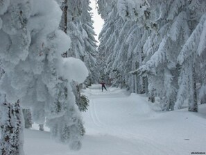 Snow and ski sports - Spacious Gîte with Private Gym, Terrace & Garden, near Hiking & Fishing Spots (Thoras)
