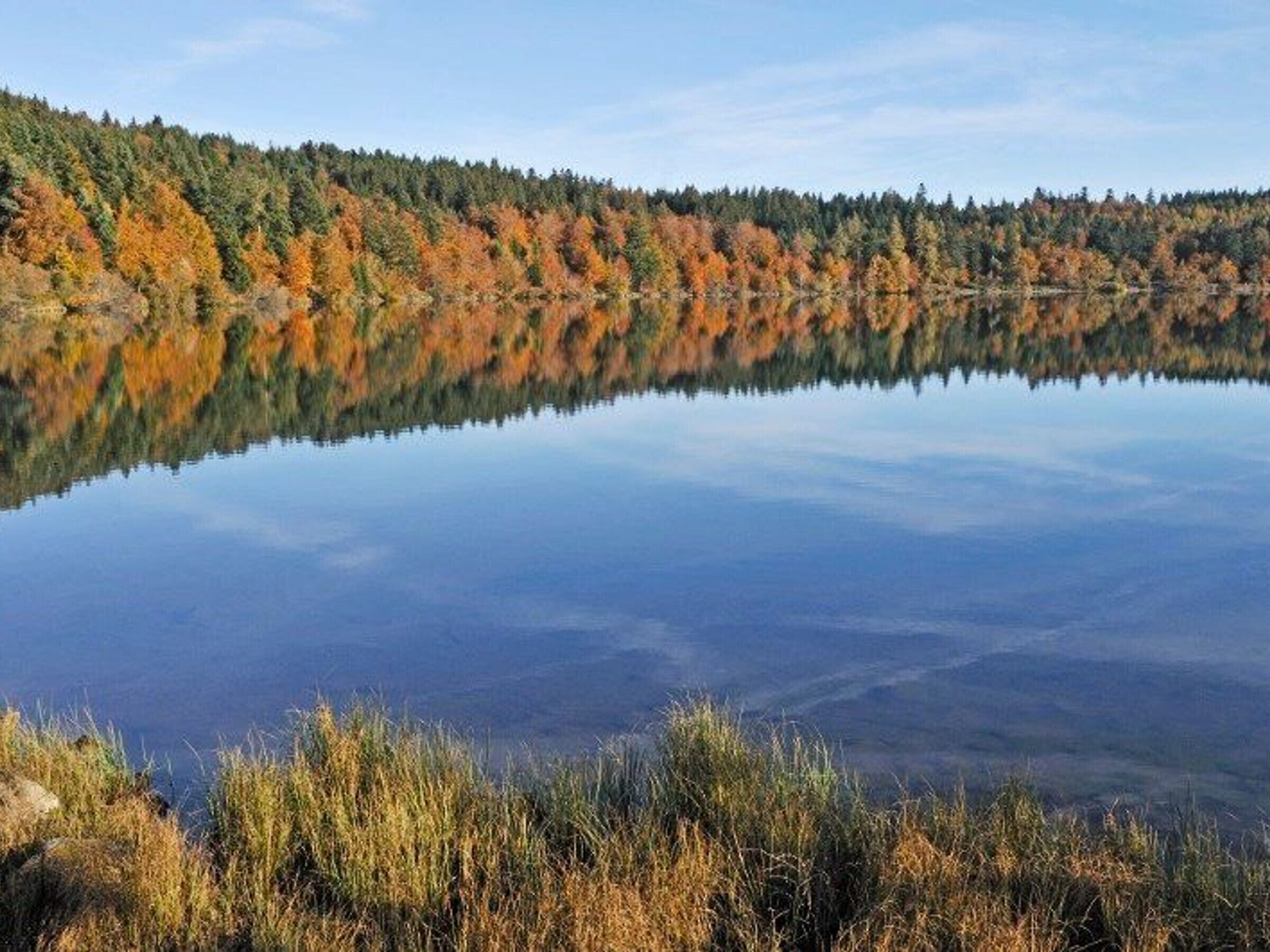 Un lac paisible, bordé d’une forêt dont les arbres se reflètent dans l’eau.