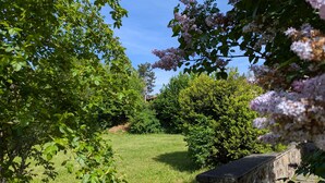 Un espace jardinier avec de la pelouse, des arbres et un mur en pierre.