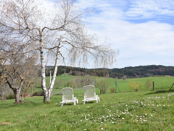 Terrain de l’hébergement 