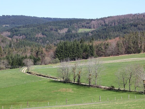 Un paysage rural avec un champ délimité par une clôture, un chemin de terre et une colline boisée en arrière-plan.