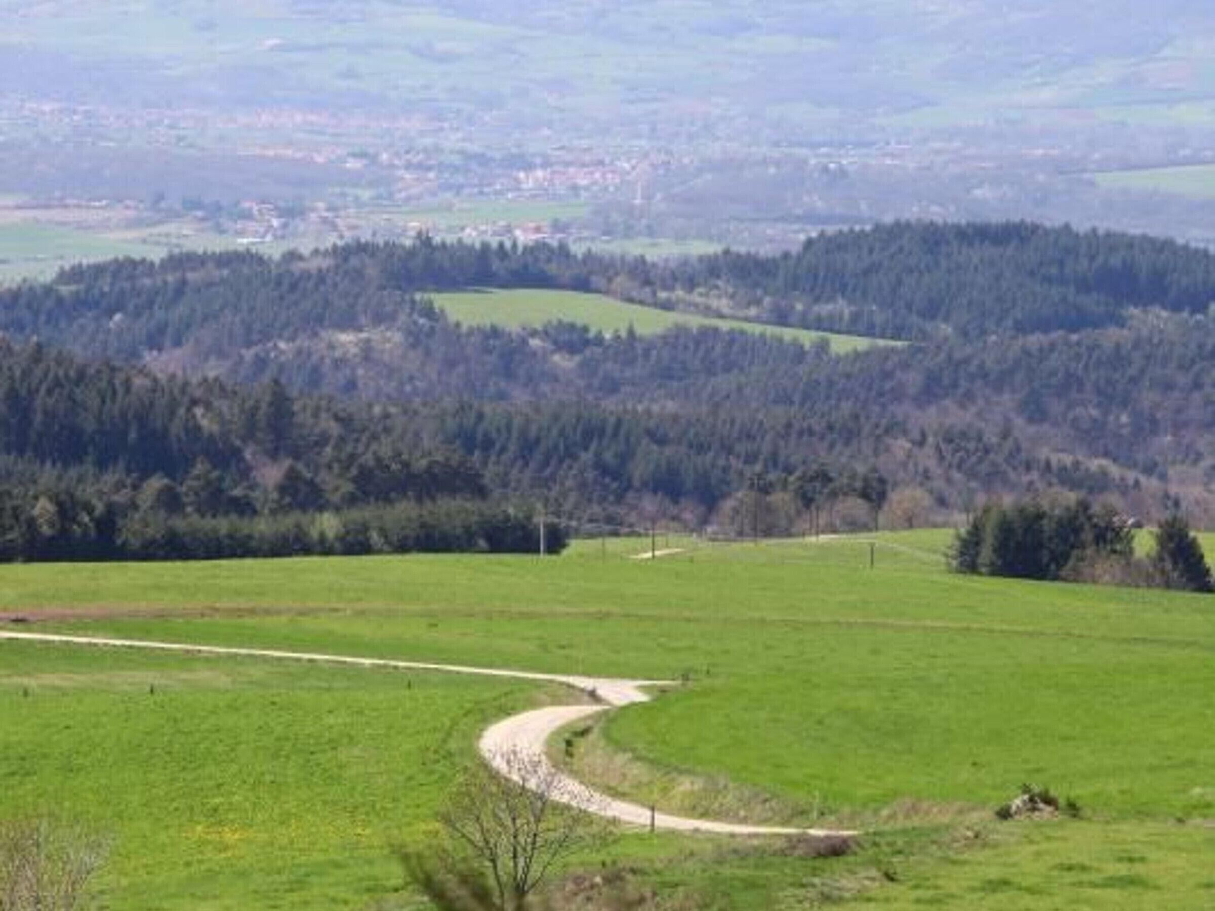 Un paisaje rural con un camino sinuoso, campos verdes y una colina boscosa al fondo.