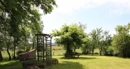 Cozy Farmhouse near Lapte with Nature Views, Near Lake, Pet Friendly, Fireplace & Full Amenities