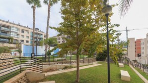 Un patio ajardinado con palmeras, un camino y un edificio al fondo.