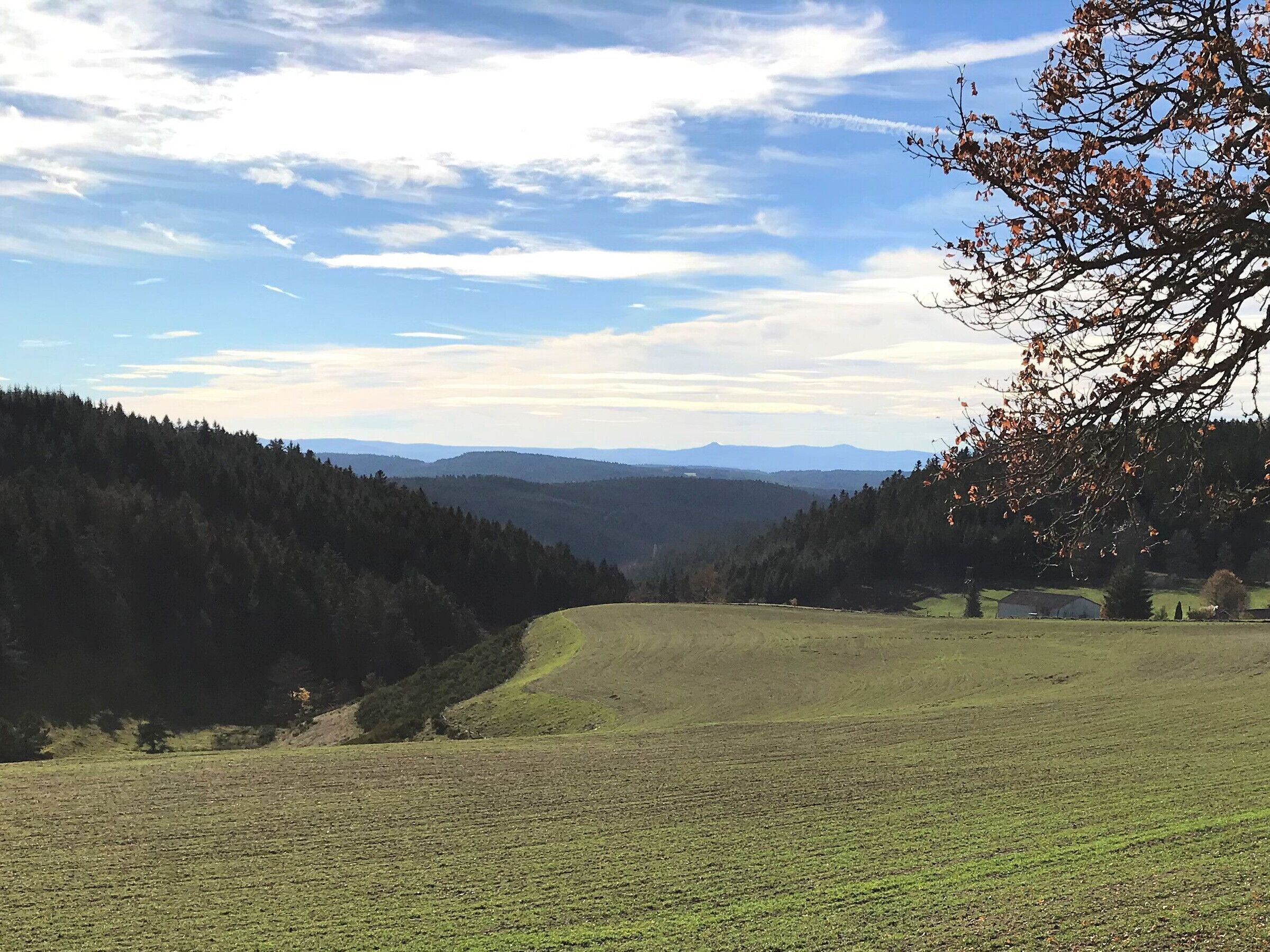 Ländliche Landschaft mit einer grünen Wiese, einem bewaldeten Hügel und fernen Bergen unter teils bewölktem Himmel.