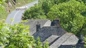 A stone-roofed building with a road curving around it, surrounded by lush greenery.
