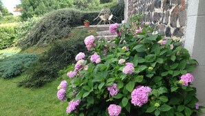 A garden with hydrangea bushes and a stone wall. - Restored farmhouse with enclosed garden and terrace, near Puy en Velay (Le Monastier-sur-Gazeille)