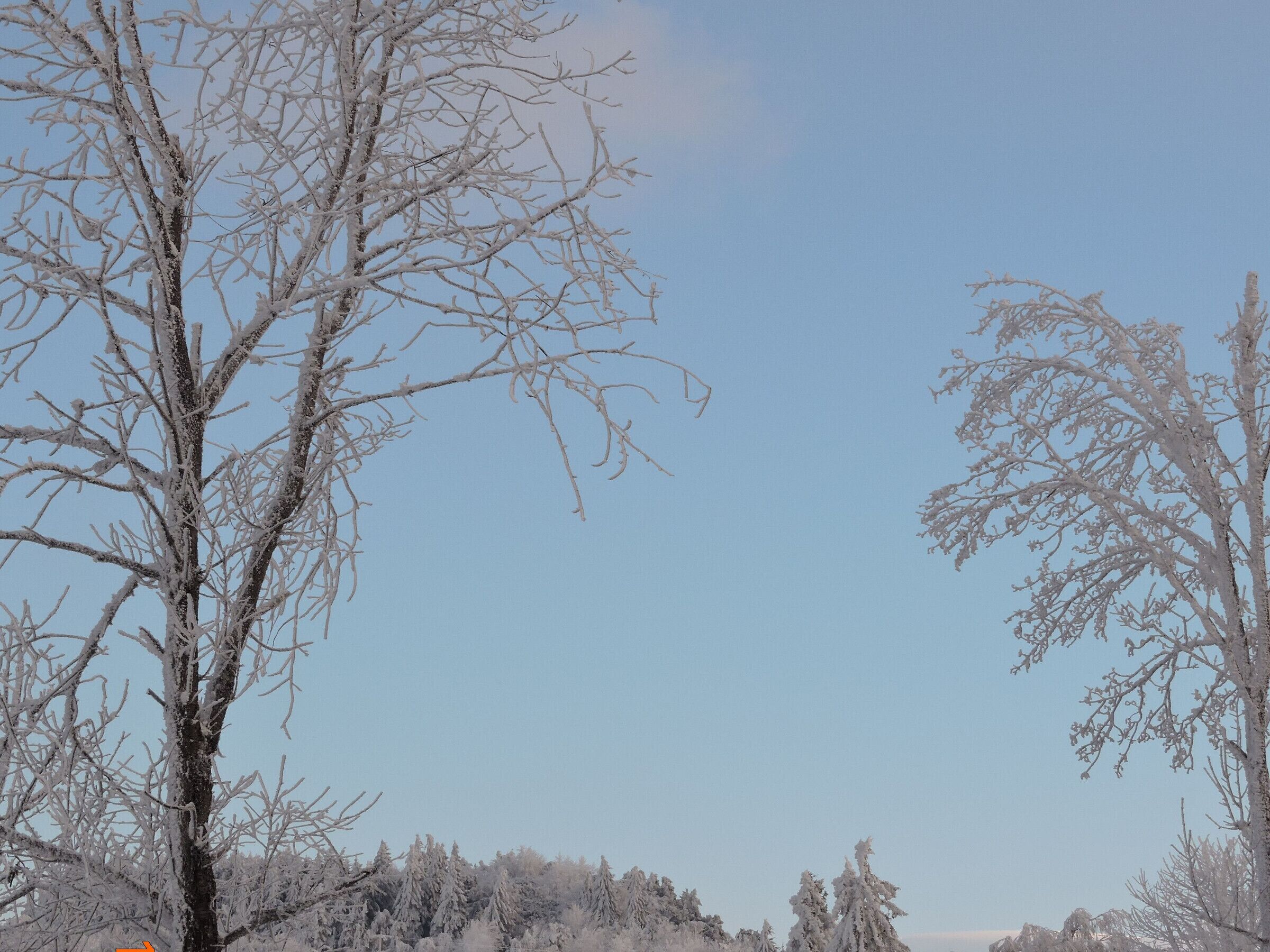 Paisagem coberta de neve, com árvores desfolhadas e céu claro.