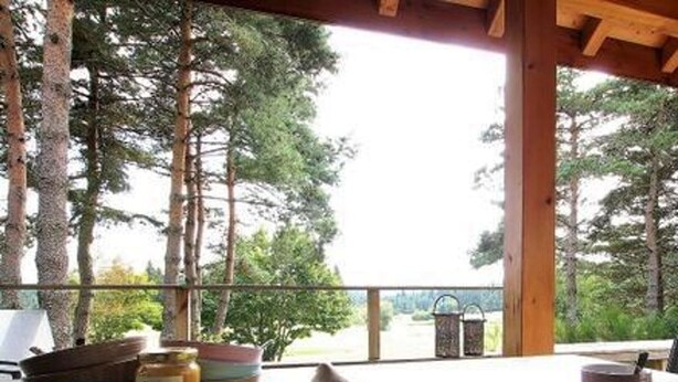 A wooden table with a tray of condiments, a mug, and a bird on a balcony with a forest view. - Luxury Lodge with Private Spa, Golf Access, and Kids' Adventure Area (Le Chambon-sur-Lignon)