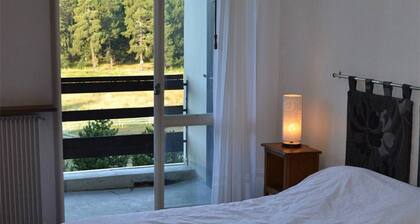 Appartement cosy 2 pièces cabine, proche commerces et pistes, 6 pers, animaux OK