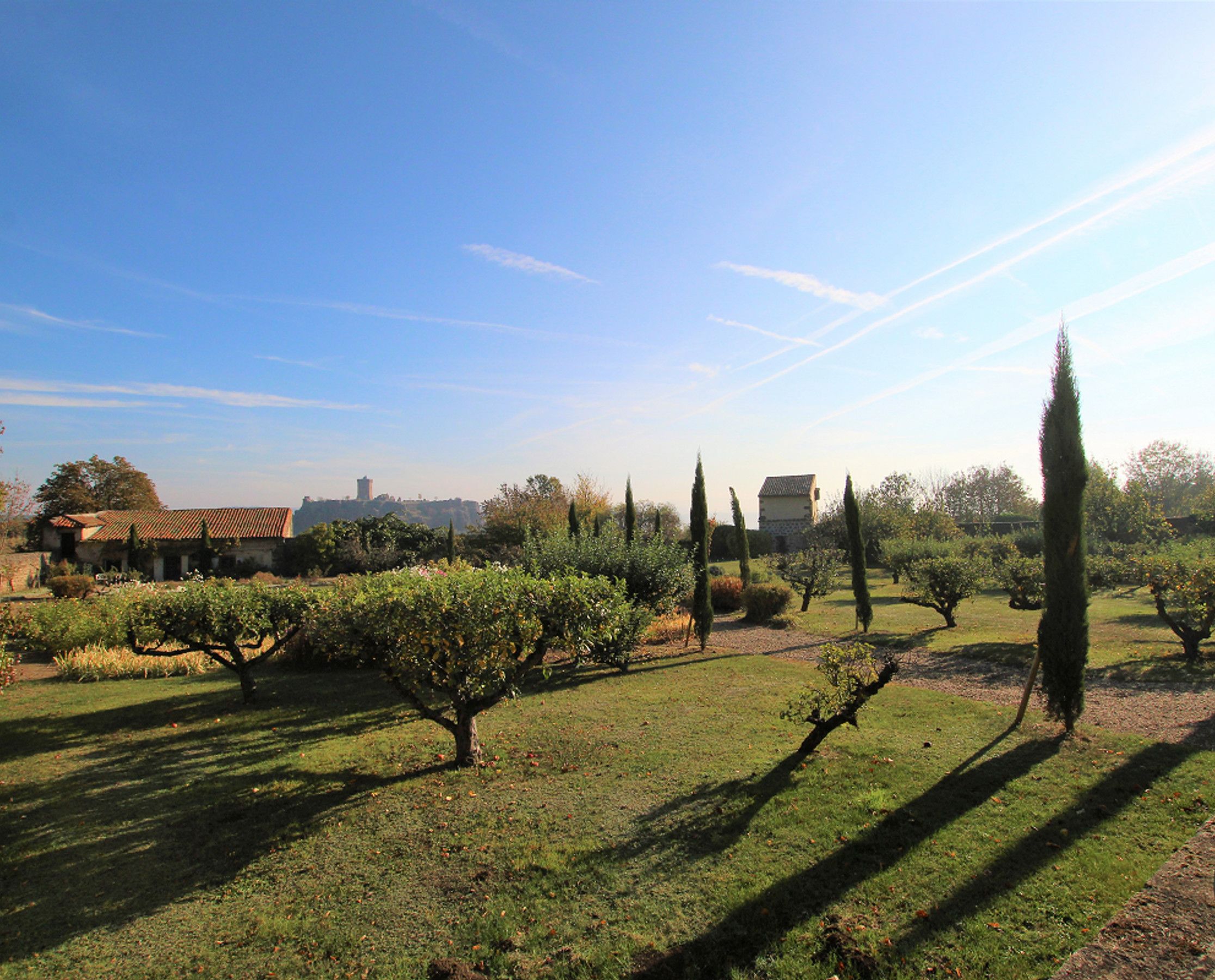 Un vignoble avec des rangées de vignes, un bâtiment doté d’un toit en tuiles et un ciel bleu dégagé.