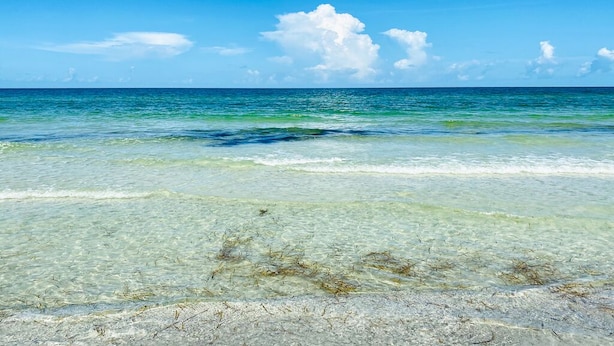 Ein Strand mit klarem, flachem Wasser und einem sandigen Ufer.