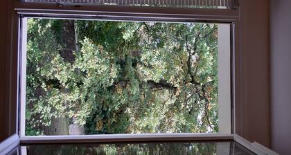 Studio 2/3 persons in the heart of the 3 Pignons forest