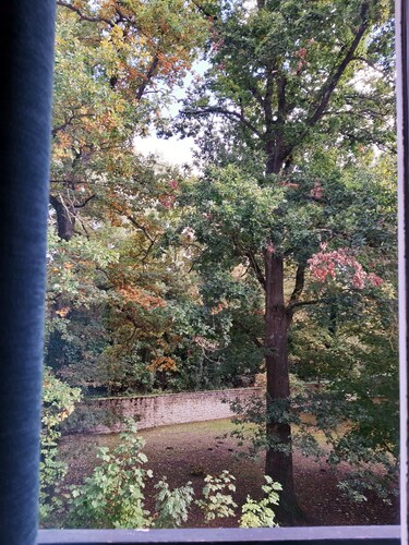 Studio 2/3 personnes au coeur de la forêt des 3 Pignons