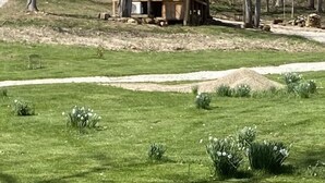 A wooden cabin with a sloped roof, surrounded by a forested area with a dirt path leading to it. -     Secluded Log Cabin • Trails • 7 Minutes to French Lick • Pet Friendly (French Lick)