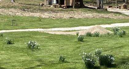 Cozy 1 bedroom w/ loft log cabin . 7 miles to French Lick, 15 to Patoka Lake!