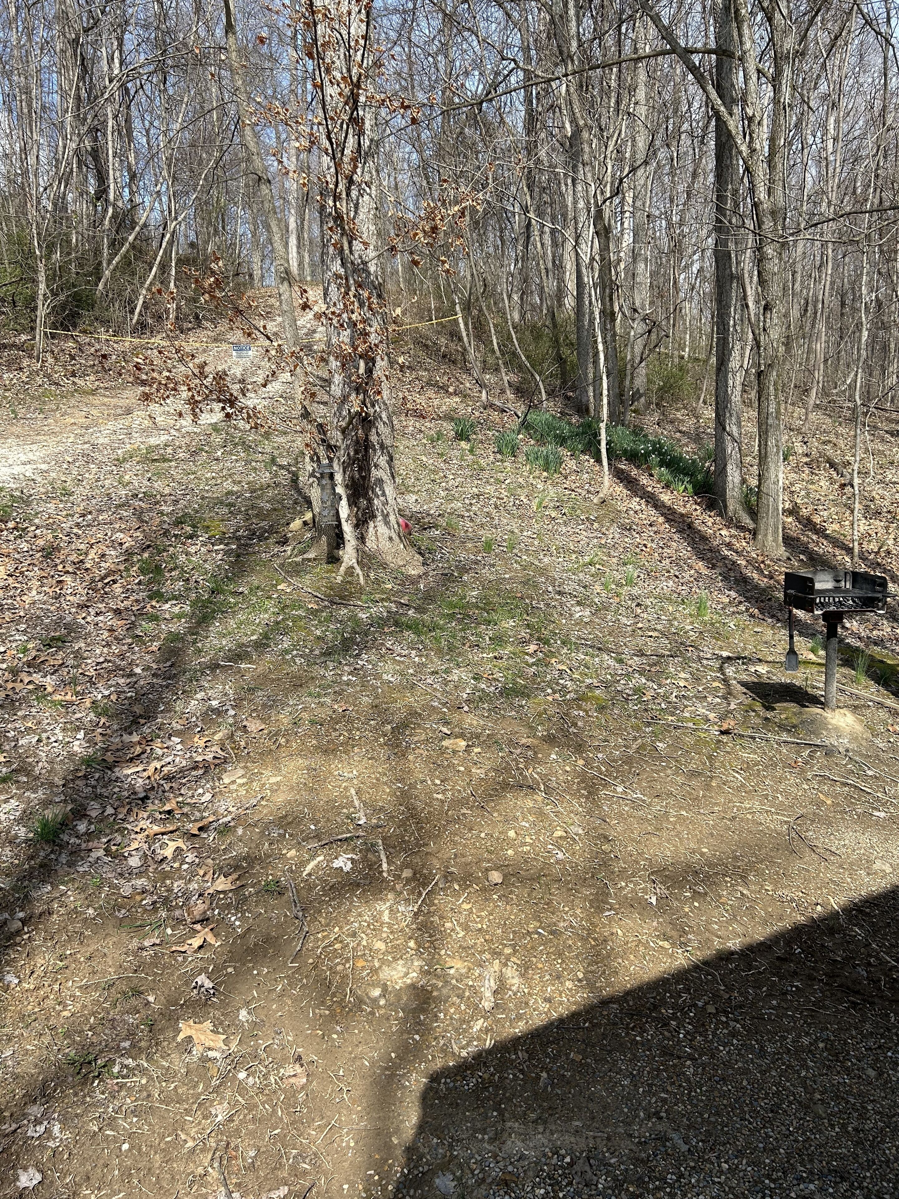 Une zone boisée avec un sentier de terre, un banc et un panneau indicateur.