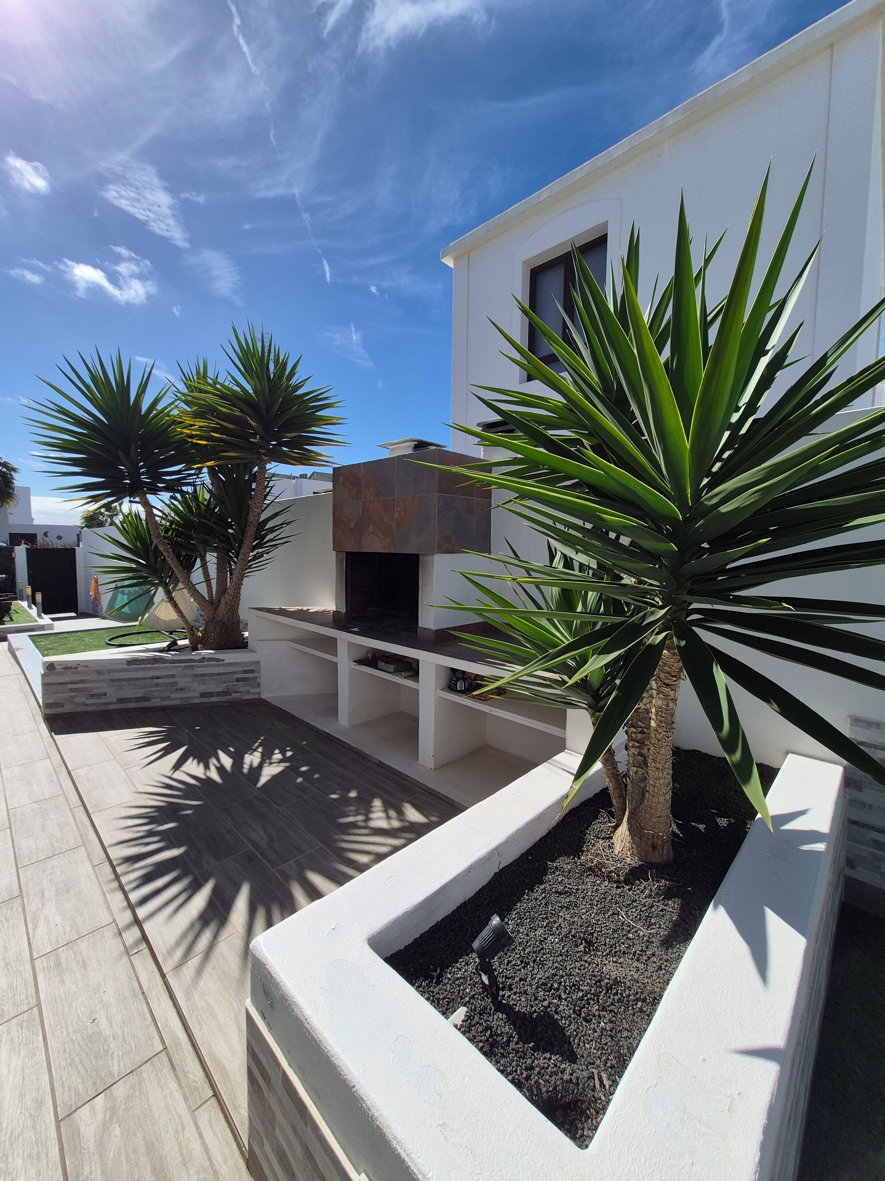 Un espace extérieur moderne avec un bâtiment blanc, un bac à fleurs en béton où est planté un palmier, et un sol carrelé.