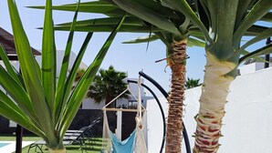 A hammock chair hanging between palm trees in a garden area with artificial grass and a white wall. - Villa with private heated swimming pool, Wifi, Prime video, BBQ, tennis table (Playa Blanca)