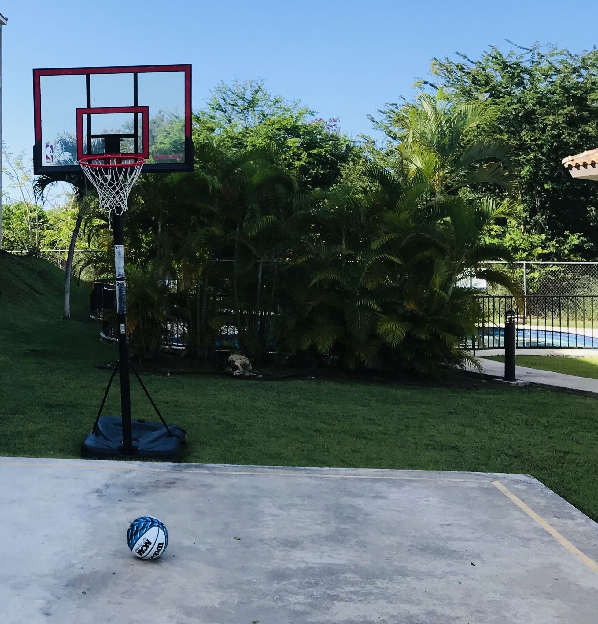 A basketball court with a hoop and a ball, surrounded by greenery and a fence.